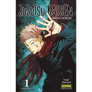 JUJUTSU KAISEN 01