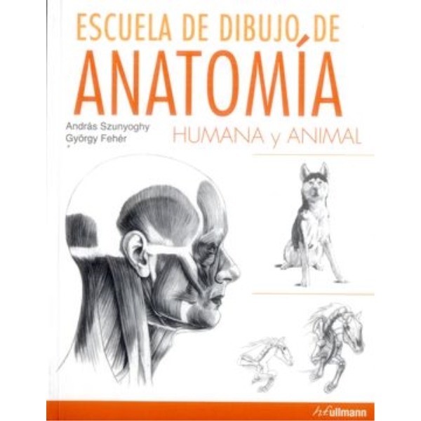 ESCUELA DE DIBUJO DE ANATOMIA HUMANA Y ANIMAL - V&D