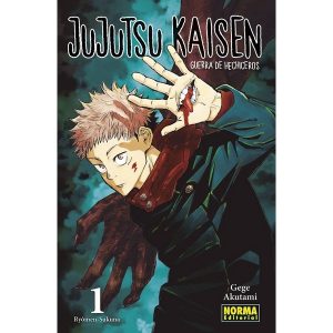 JUJUTSU KAISEN 01 (REEDICION)